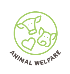 Animal Welfare Icon